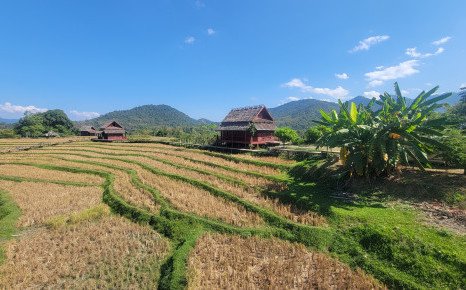 Eco Dormitory Service-Learning Programme in Laos